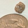 350. Diamant in diesem Jahr: New Yorkerin findet großen Diamanten auf Feld in Arkansas