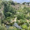 « C’est une friche où le temps pousse » : à Nantes, une ancienne carrière devenue jardin exotique