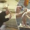 Factory farm supplying Tesco, Sainsbury's and Asda where helpless piglets are beaten to death: Horrific abuse carried out by sadistic workers is laid bare as supermarket giants cut ties with meat supplier