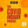 The Covid Inquiry Podcast: 'I wasn't the decision maker'