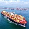 Chinas Firmen trotzen Zollstreit: Pekings Exportzahlen überraschen Analysten