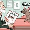 My dog has anxiety and his treatment costs hundreds of pounds. Now my insurer is refusing to pay... what can I do? SALLY SORTS IT