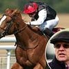 Kyprios gives Aidan O'Brien a major injury scare as hot favourite for Ascot Gold Cup limps out of Leopardstown winning enclosure