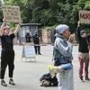 German zoo sparks outrage over killing 12 of its baboons after contraception failed to stop the primates breeding