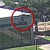 Watch: New video of moment shooting suspect flees scene