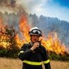 Europa moet veel meer doen tegen grote bosbranden, concluderen experts. Maar hoe dan?