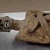 Unravelling the mystery of the Mummy of the 'Air-Dried Chaplain': Vicar who died in 1746 was exceptionally well preserved thanks to unusual embalming technique - via his rectum