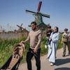 Gemeente Zaanstad wil betaalmuur voor Zaanse Schans vanwege drukte: ‘Wat een ergernis’