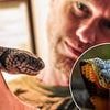 I sat in my basement for 18 years injecting myself with snake venom. This is why I did it - and why everyone should thank me