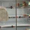 Co-op says shelves to be more fully stocked this weekend