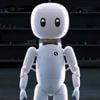 Cartwheel Robotics entwickelt knuffige humanoide Roboter