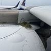 Air India plane skids off runway as three tyres burst on landing at Mumbai