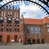 Heißer Wahlherbst: Brandenburg sucht Stadtoberhäupter