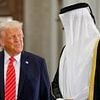 Qatari prime minister makes audacious claim about $400 million luxury jet gifted to Trump... as even MAGA allies raise alarms
