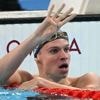Natation. Sans Léon Marchand et Florent Manaudou, les championnats de France se cherchent une star