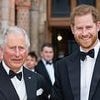 What Harry must do if he REALLY wants reconciliation with his father - and why Charles CAN'T speak to him about legal dispute, revealed by The King's biographer