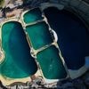 "Nous avons été très choqués" : plusieurs ONG accusent le Marineland d'Antibes de prélever le sperme d'une orque pour le revendre