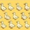 How many ducks can you see in eye-boggling optical illusion in 30 seconds