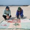 Plastikplage im Paradies: Strandbingo an der dänischen Westküste