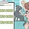 Pet insurer charged £250 excess THREE times after our black labrador's single operation: SALLY SORTS IT