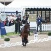 Pferdesport: Zweiter Kür-Titel: Sönke Rothenberger gewinnt in Balve
