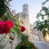 Programm in Welterbestätten: Kultur und Natur - Unesco lädt zum Welterbetag ein
