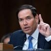 Außenminister Rubio kündigen harten Kurs an: US-Regierung will Studenten aus China Visa entziehen – Peking nennt Vorgehen „politisch“