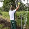 Betere bescherming van de wolf kan ook de mens helpen
