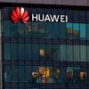 Huawei-Bestechungsaffäre: EU-Parlament soll Immunität von fünf Abgeordneten aufheben