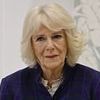 Queen Camilla 'was assaulted by a stranger on a train when she was a teenager, and fought off her attacker with her high heel'