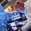 Hoffen auf Nvidia-Zahlen: Skepsis der Fed bremst Wall Street aus