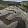 England's yellow and parched land: How soaring immigration and a 30-year failure to build reservoirs could trigger drinking water crisis