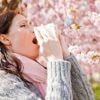 Allergie aux pollens : une partie du Morbihan et l’Ille-et-Vilaine en alerte rouge aux graminées
