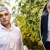 PETER HITCHENS: How the OSTRICH class are ruining Britain. These self-regarding rule makers dictate your life then bury their heads in the sand... and YOU are paying