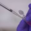 Cancer : un vaccin porteur d’espoir