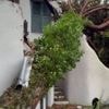 Il maltempo danneggia la casa di Sacchi: "Fortunato ad essere ancora vivo"