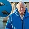 Sir David Attenborough's new film Ocean earns a huge £2.5million at the global box office - becoming the highest grossing documentary of 2025 in landslide achievement