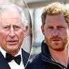 Prince Harry made himself the 'centre of attention' by 'dissing his family', according to royal author
