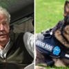 Clarkson for PM, attacks on police dogs: Do Parliament petitions make a difference?