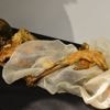 Tatoeages prehistorische ijsmummie tonen zelfbewuste oervrouw: ‘Gemaakt met briljant oog voor detail’