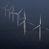 Goed nieuws deze week: Nederland gebruikt steeds meer duurzame energie