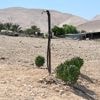 In de Jordaanvallei raken Palestijnse boeren hun land en hun water kwijt