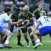 France - Afrique du Sud. Trois choses à savoir sur les Springboks, adversaires de Bleues au Mondial