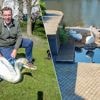 Brugge neemt extra maatregelen voor zwanen én hun kuikens: “Jongeren gooien zelfs met blikjes en stenen”