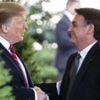 Why is Trump targeting Brazil - and will it backfire for Bolsonaro?