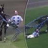 Jockey is hailed as a hero for saving her horse with an incredibly brave act that saw her get dragged around a racetrack