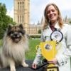 MP's pooch crowned Westminster Dog of the Year
