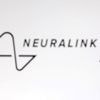Musks start-up Neuralink helpt aap iets te zien dat er niet is