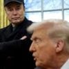 Musk 'disappointed' by Trump's tax and spending bill