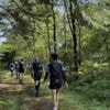 Les circuits urbains de trail de Landerneau sont dorénavant balisés